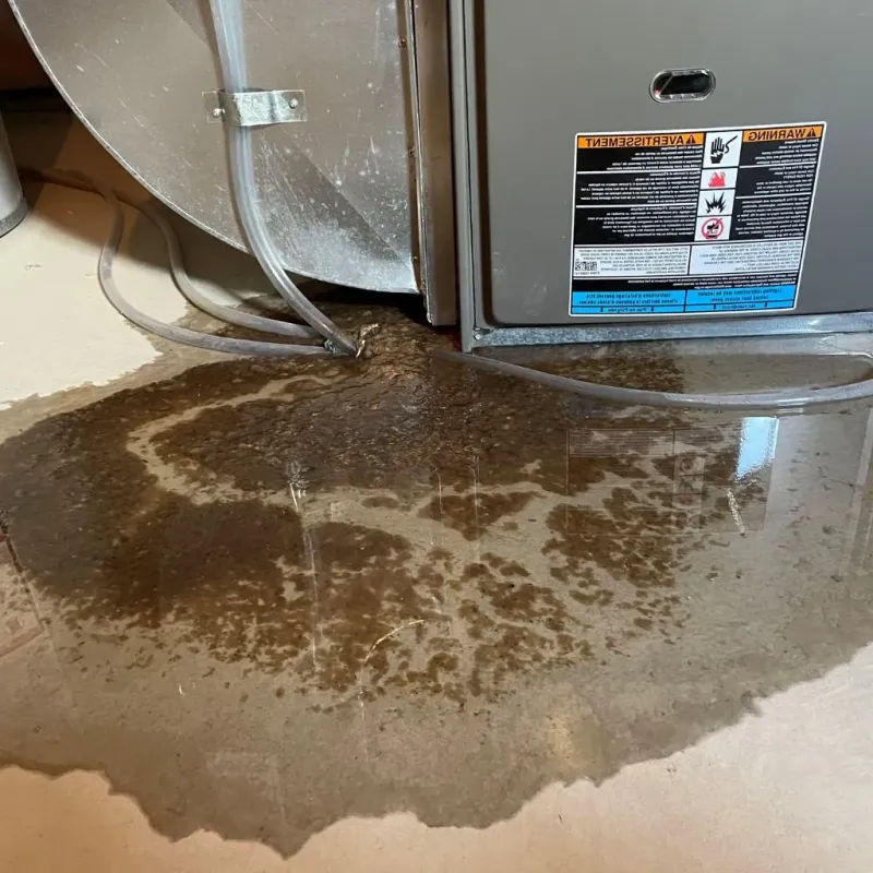 Pipe Burst and Leak Restoration in Lawrenceville, IL