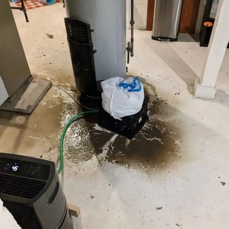 Sewage Backup Cleanup Service in Lawrenceville, IL